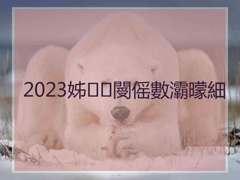 2023姊閿傜數灞曚細