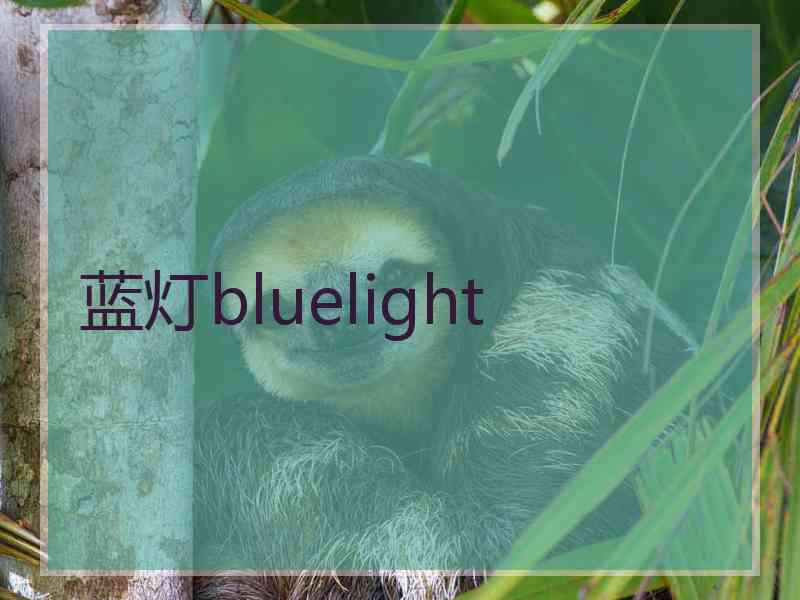 蓝灯bluelight