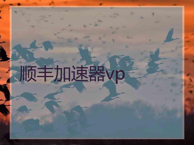 顺丰加速器vp