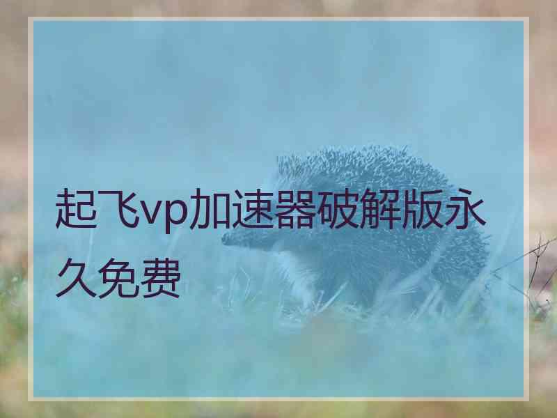 起飞vp加速器破解版永久免费