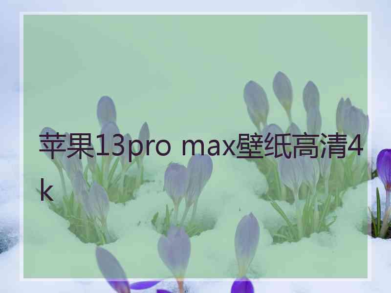 苹果13pro max壁纸高清4k