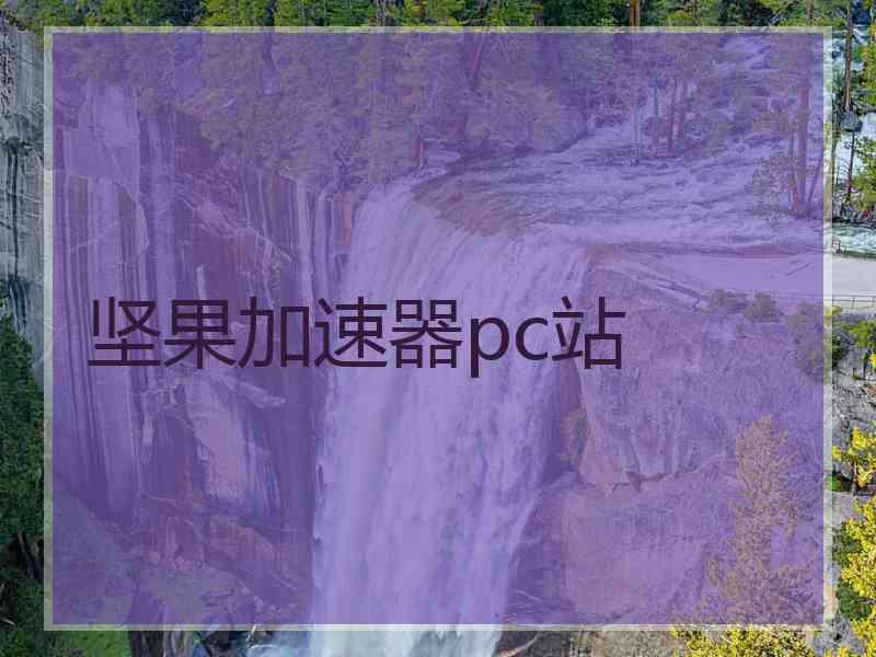 坚果加速器pc站