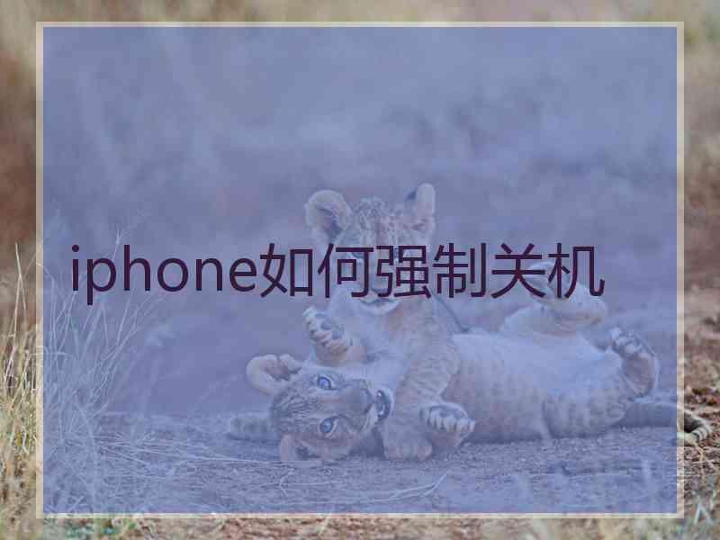 iphone如何强制关机