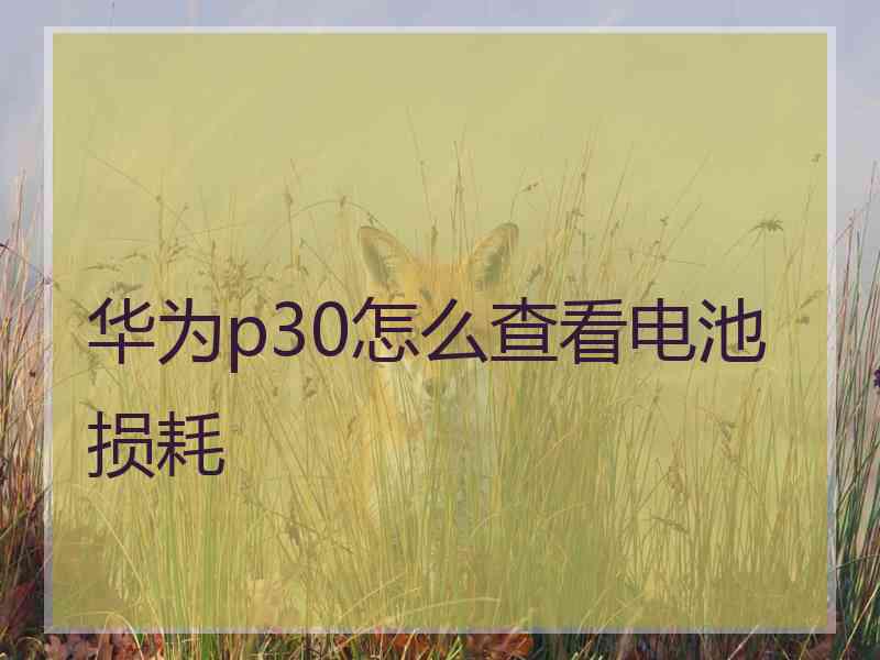 华为p30怎么查看电池损耗