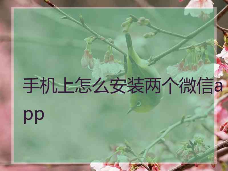 手机上怎么安装两个微信app