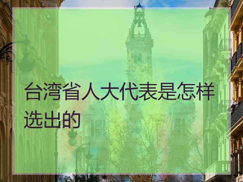 台湾省人大代表是怎样选出的