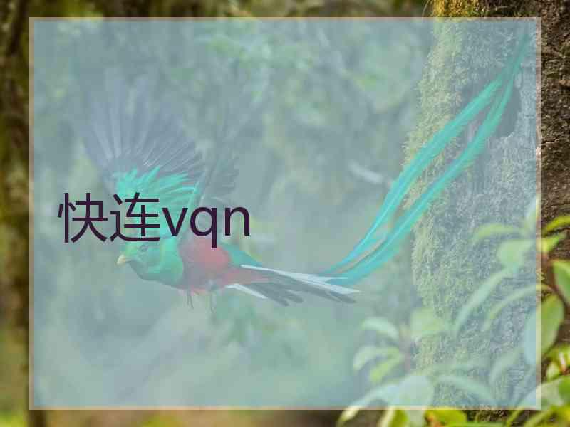 快连vqn