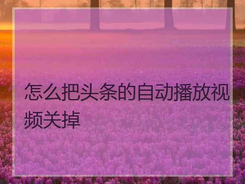 怎么把头条的自动播放视频关掉