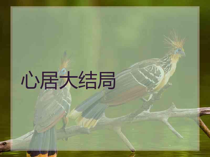 心居大结局