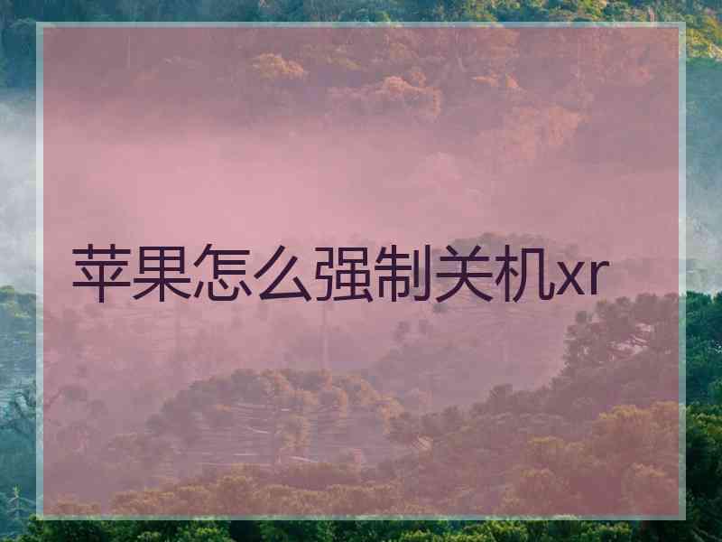 苹果怎么强制关机xr