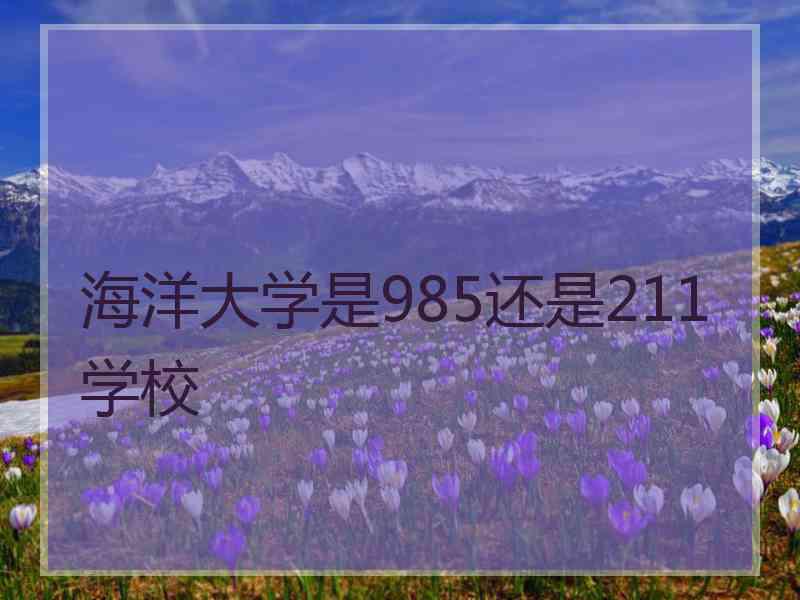 海洋大学是985还是211学校