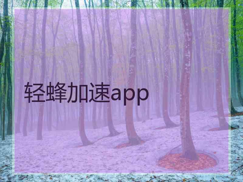 轻蜂加速app