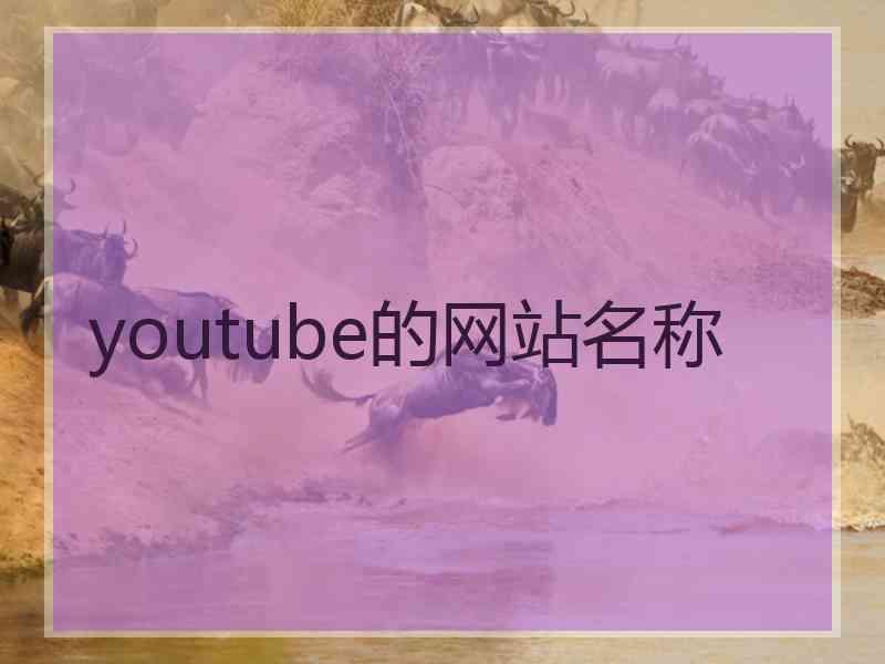 youtube的网站名称