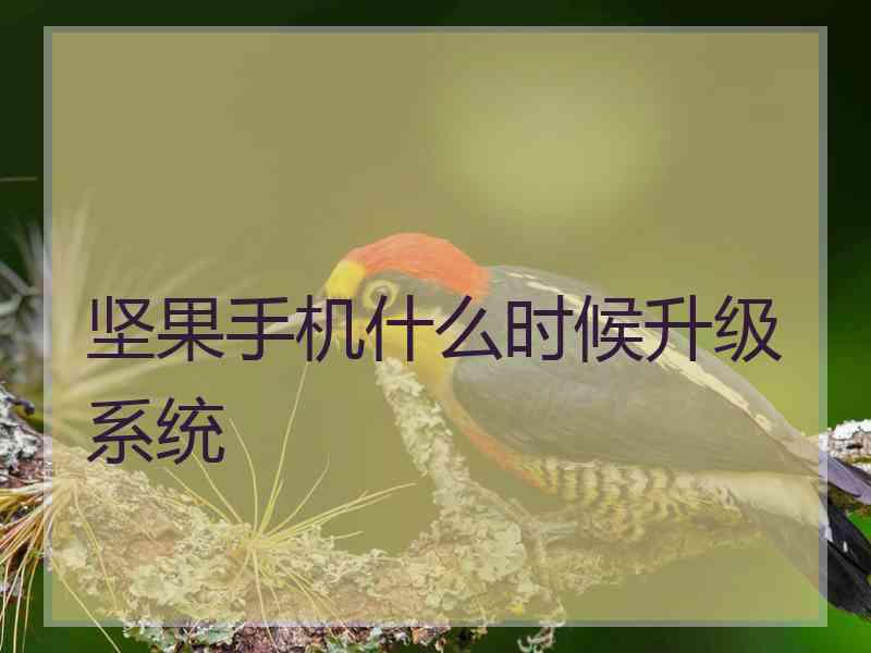 坚果手机什么时候升级系统