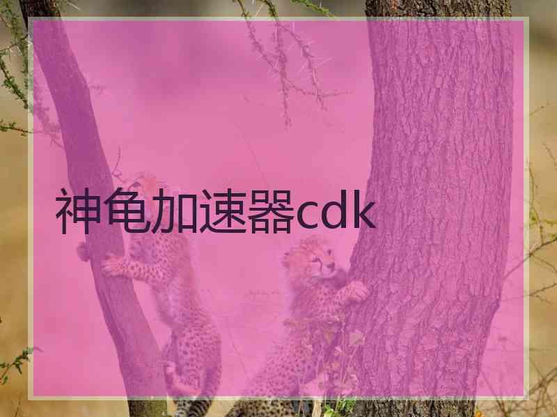 神龟加速器cdk