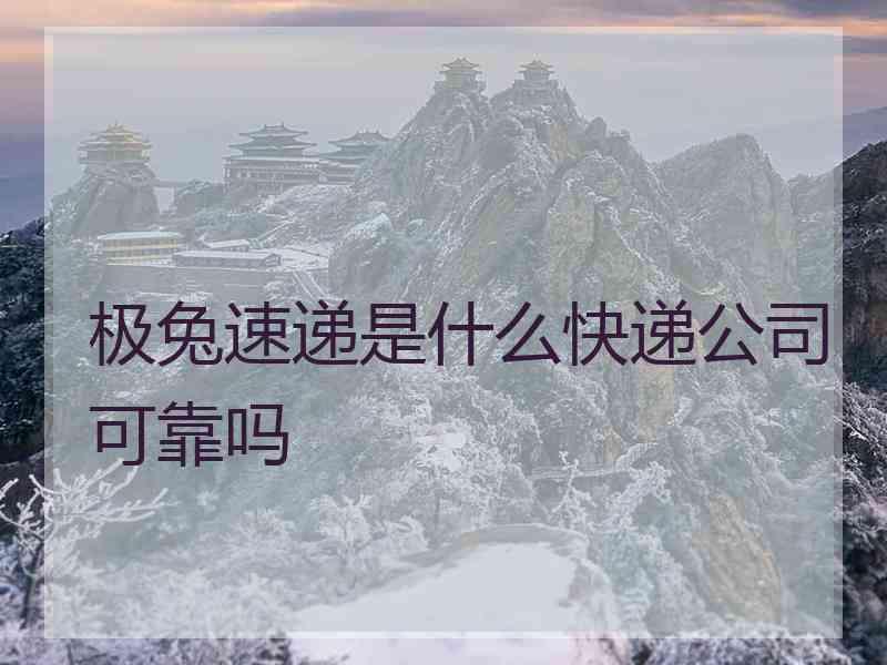 极兔速递是什么快递公司可靠吗