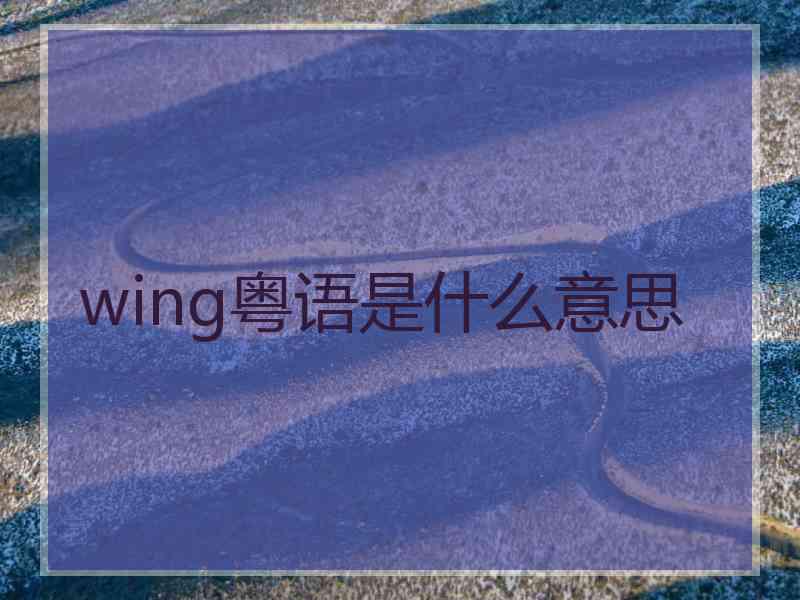 wing粤语是什么意思