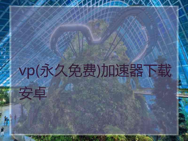 vp(永久免费)加速器下载安卓