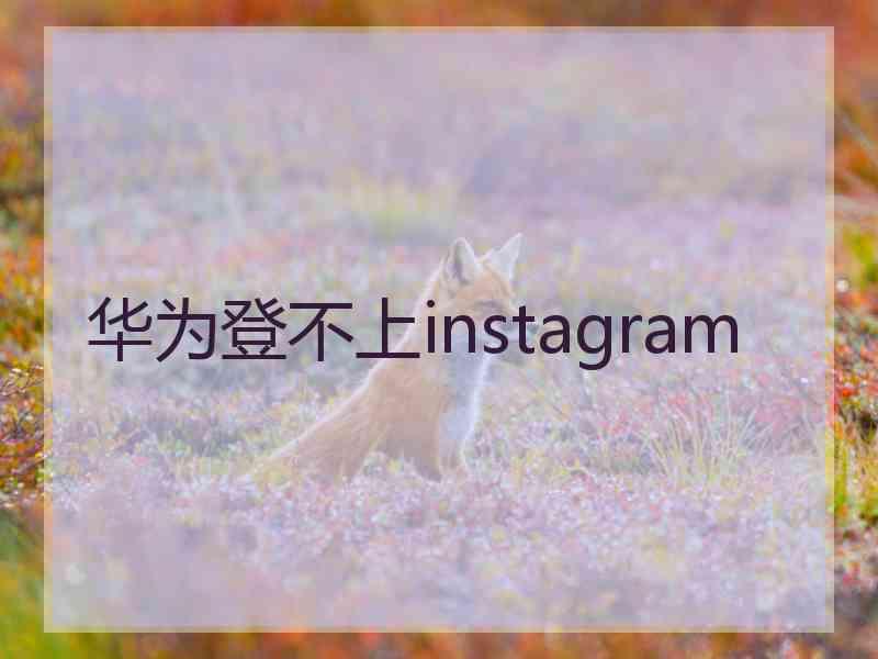 华为登不上instagram