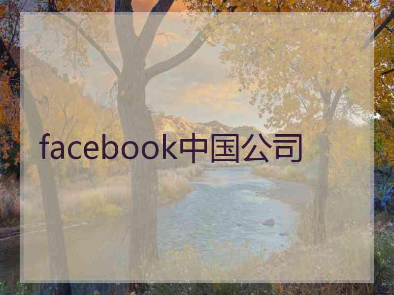 facebook中国公司