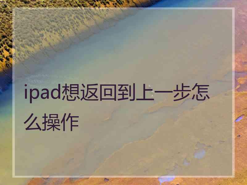 ipad想返回到上一步怎么操作