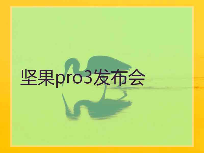 坚果pro3发布会