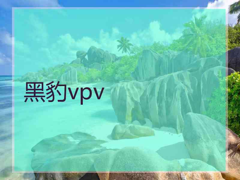 黑豹vpv