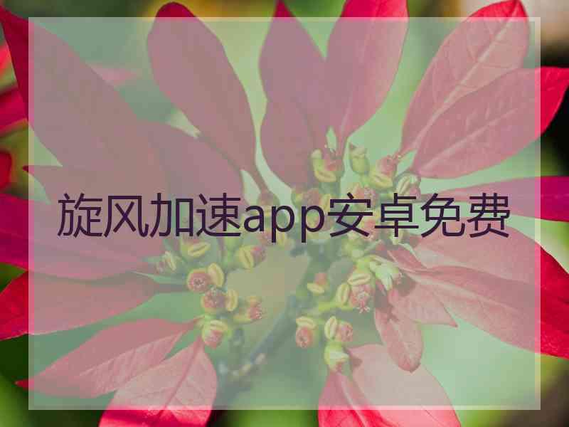 旋风加速app安卓免费