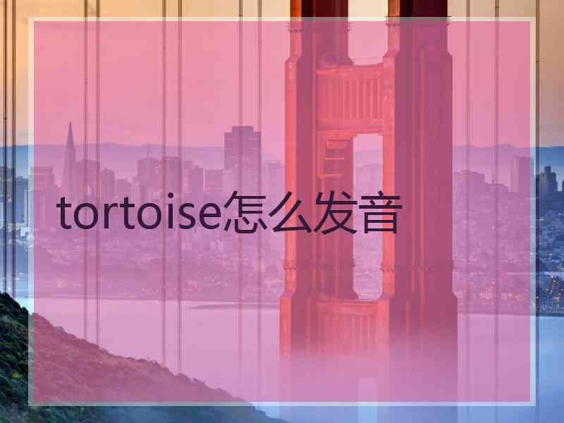 tortoise怎么发音