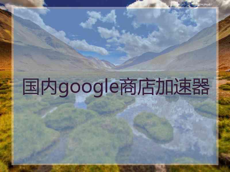 国内google商店加速器