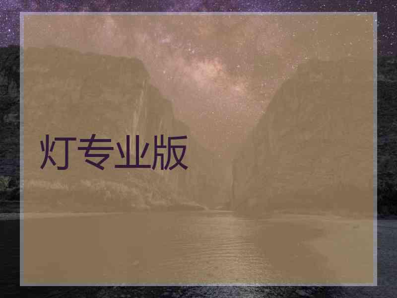 灯专业版