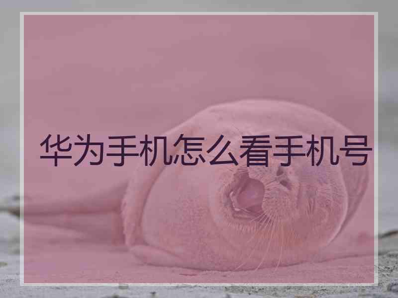 华为手机怎么看手机号