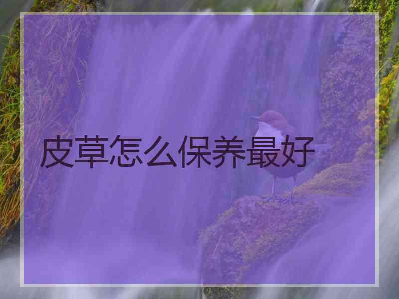 皮草怎么保养最好