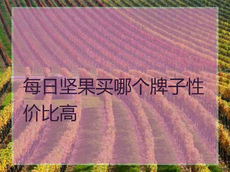 每日坚果买哪个牌子性价比高