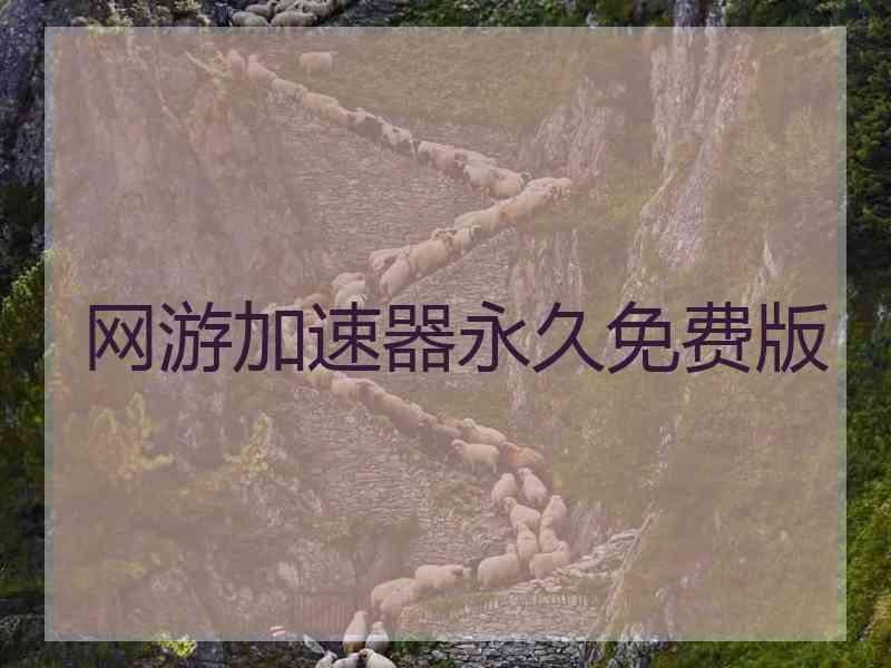 网游加速器永久免费版