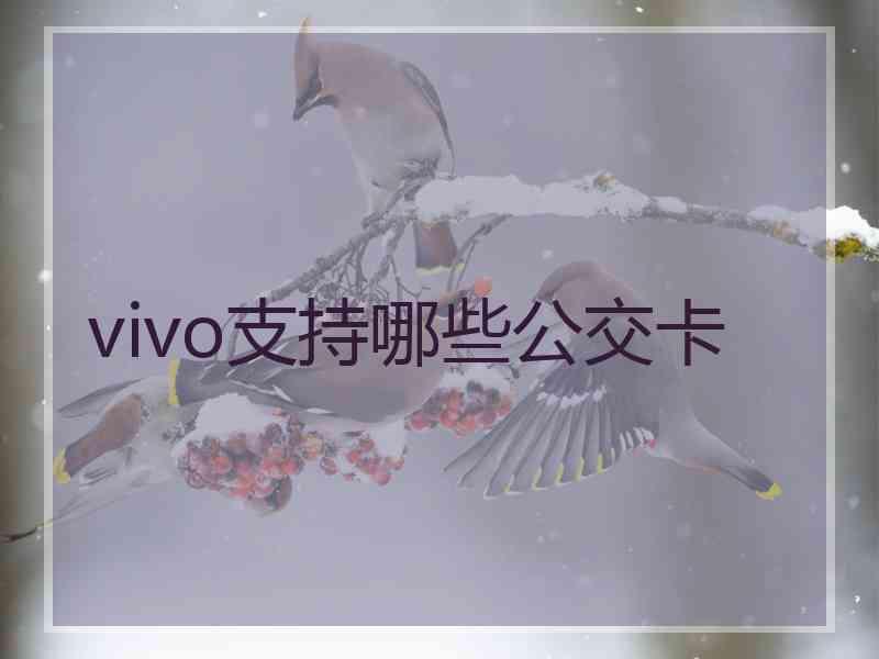 vivo支持哪些公交卡