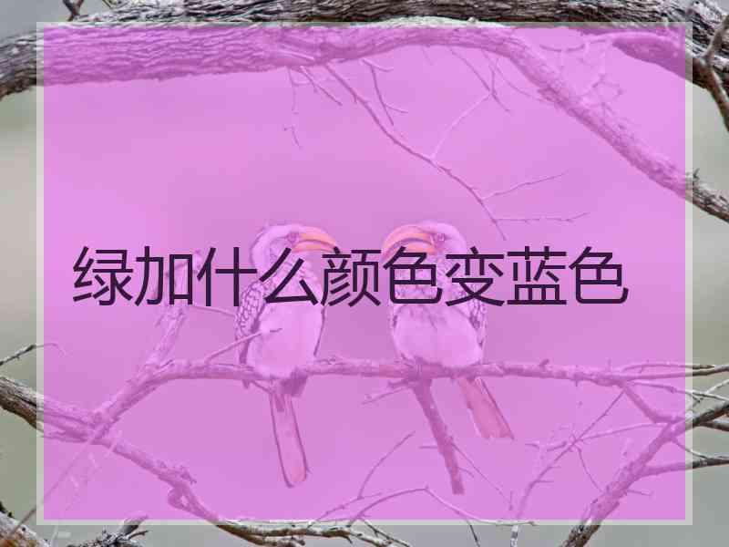 绿加什么颜色变蓝色