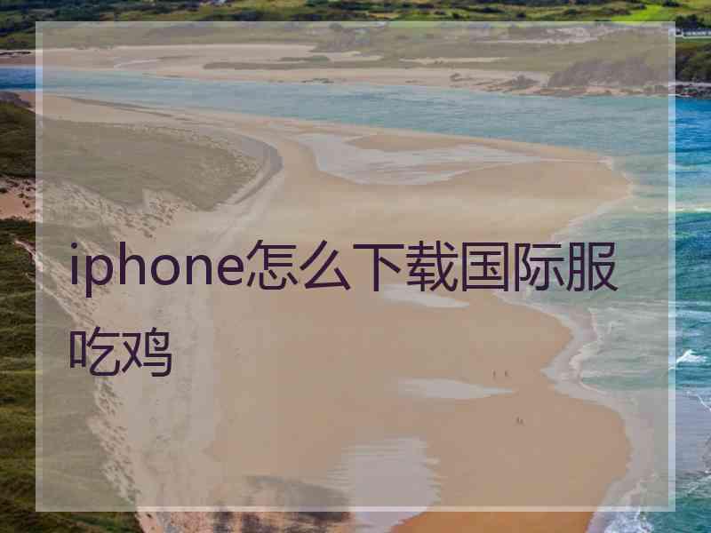 iphone怎么下载国际服吃鸡