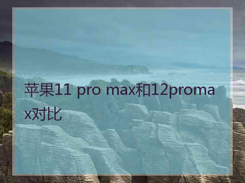 苹果11 pro max和12promax对比