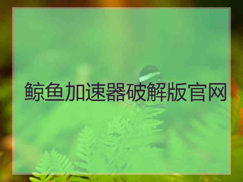 鲸鱼加速器破解版官网