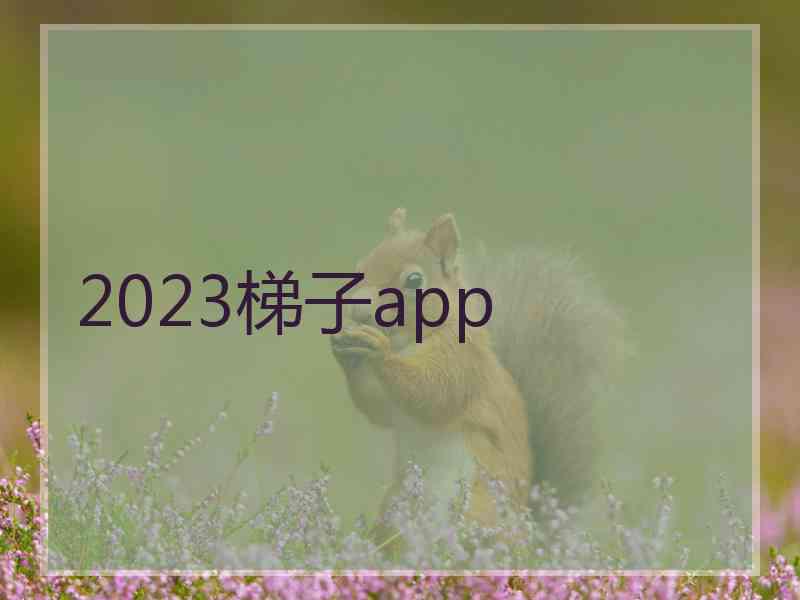 2023梯子app