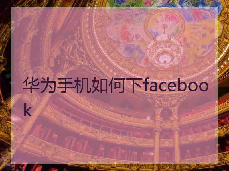 华为手机如何下facebook