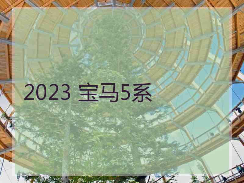 2023 宝马5系