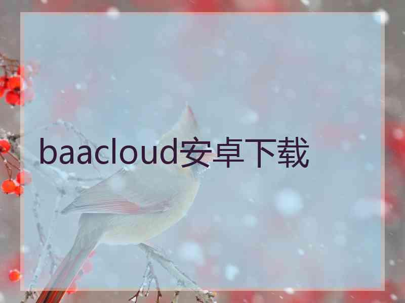 baacloud安卓下载