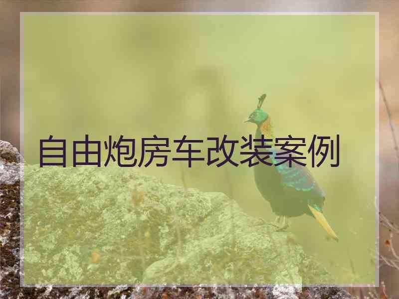 自由炮房车改装案例