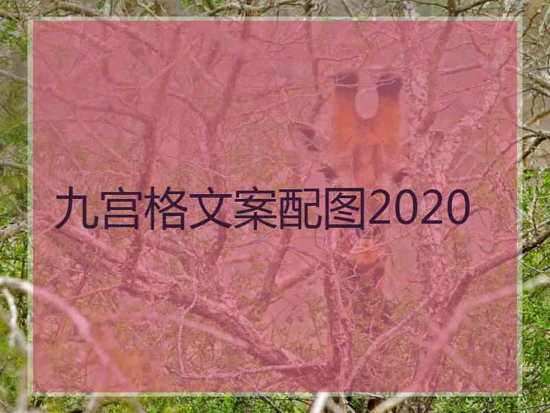 九宫格文案配图2020