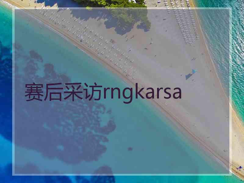 赛后采访rngkarsa