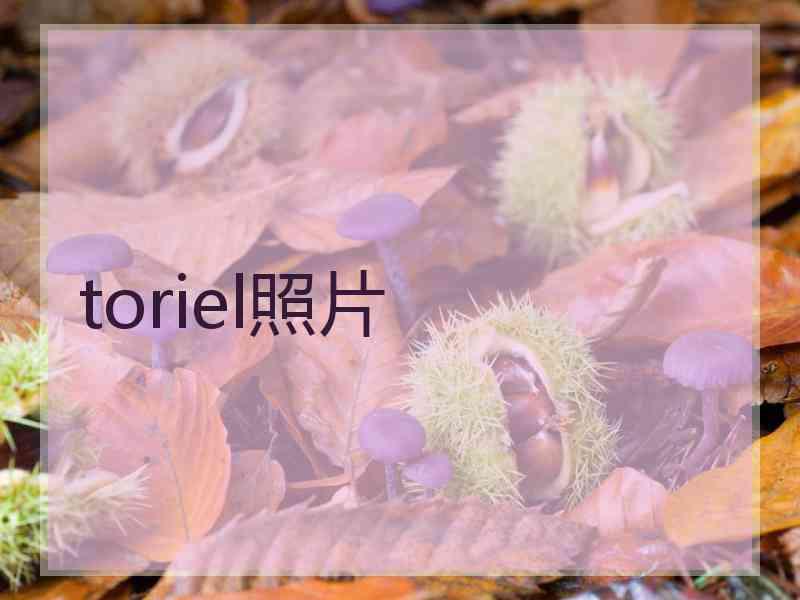 toriel照片