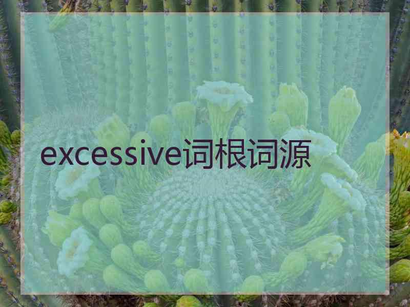 excessive词根词源