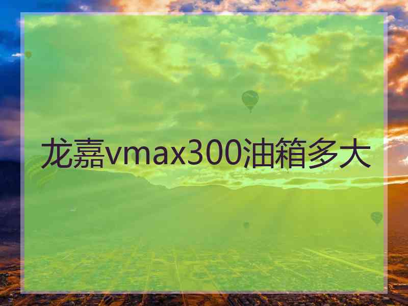 龙嘉vmax300油箱多大